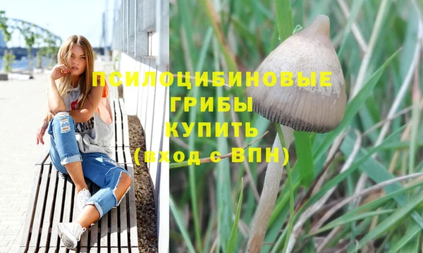 стафф Красноперекопск
