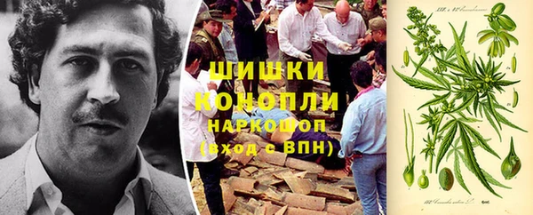 МДПВ Костерёво