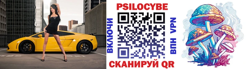 Псилоцибиновые грибы GOLDEN TEACHER Маркс